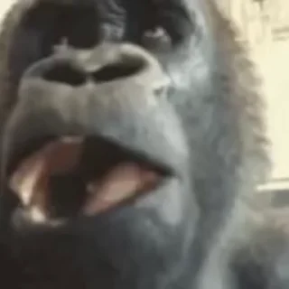 😱