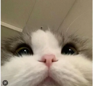 😘