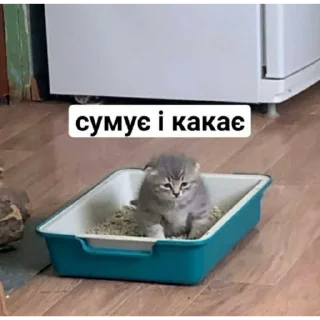 🥲