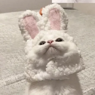 🥺