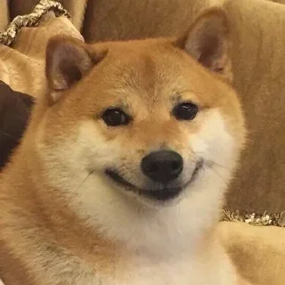 💓