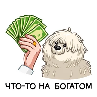 💸