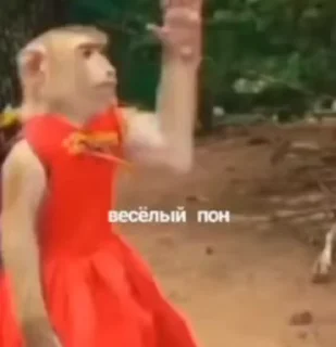 💫