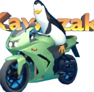 🏍️