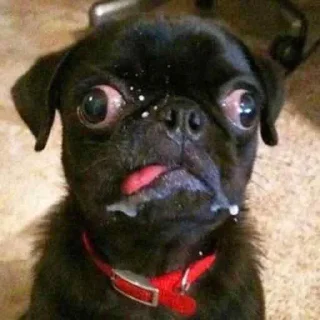 😜