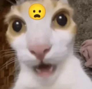 😧
