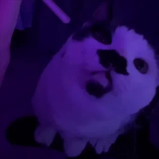 🥵