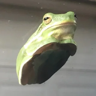 😒