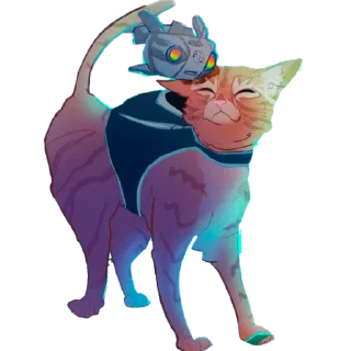 🐱