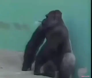 🚬