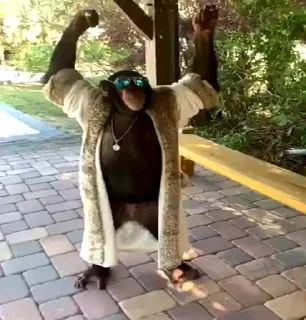 😎