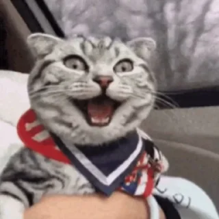 😀