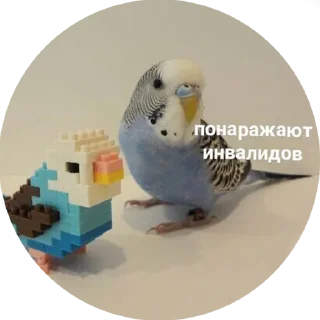 💀
