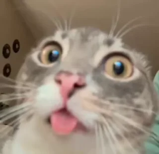 😛