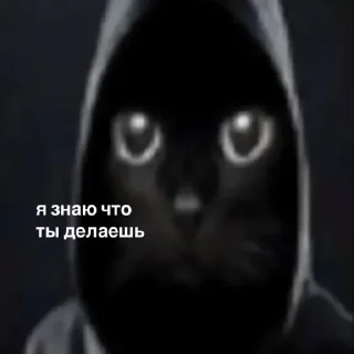 😎