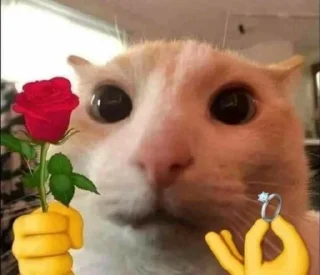 💍