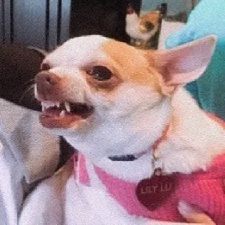 😬