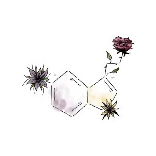 👩‍❤️‍💋‍👨