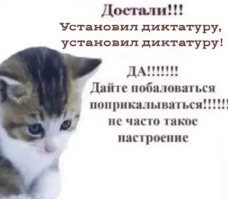 🥺