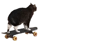 🛹