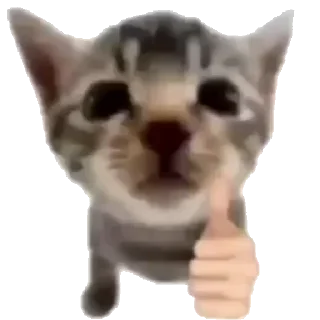 👍