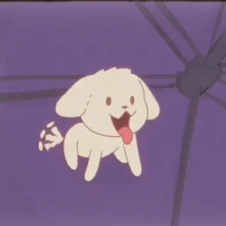 🐶