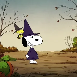 🍀