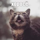 😊
