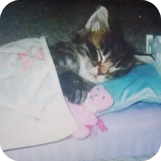 😴