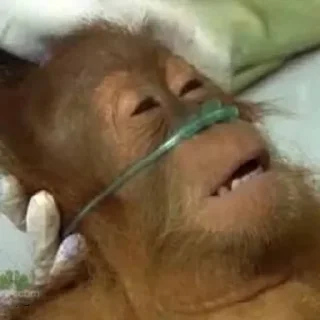 😴