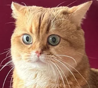 😯