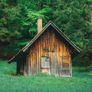 🏕️
