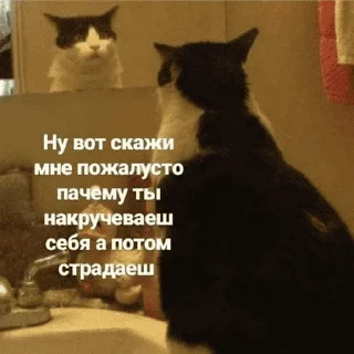 😺