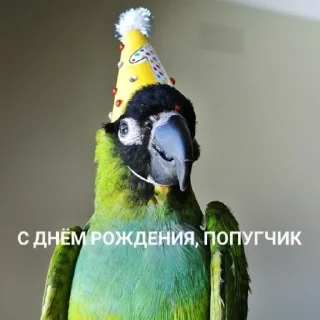 🥳
