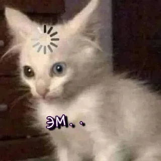 😶