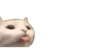 👅