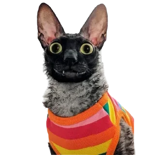 👘