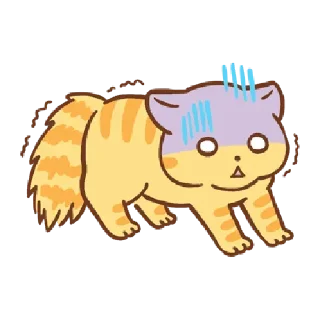 🐱