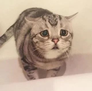 😔