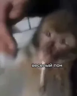 😂