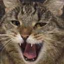😄