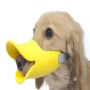 🐶