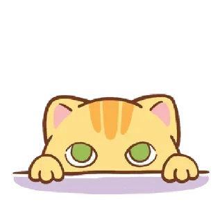 🐱