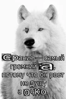 🐺
