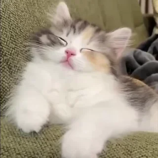 😴