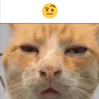 🤨