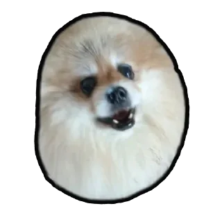 ☺️