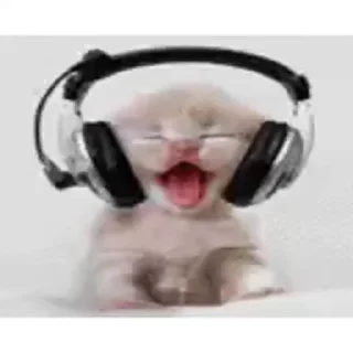 😺
