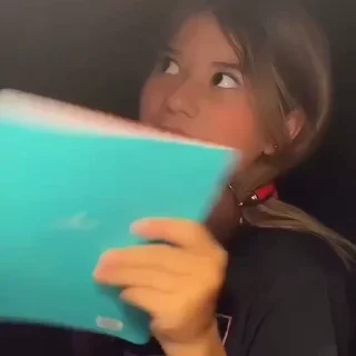 📔