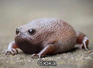 ☹️